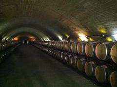 Red wine cellar at Esporao