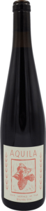 Aquila