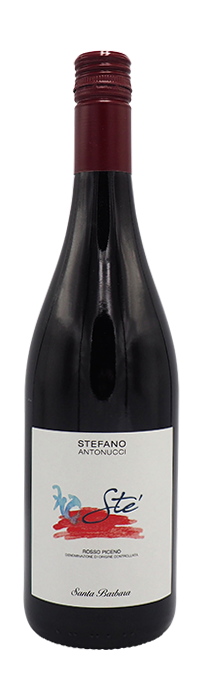 Cantina Santa Barbara “Stè” Rosso Piceno 2023, Marche, Italy