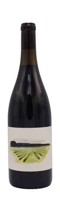 Brij Wines Slo Coast Syrah 2022, California